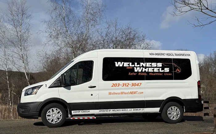 Wellness Wheels NEMT Picture 9