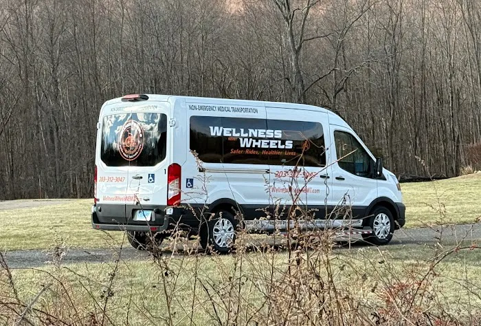 Wellness Wheels NEMT Picture 8