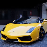 Signature Car Collection ico