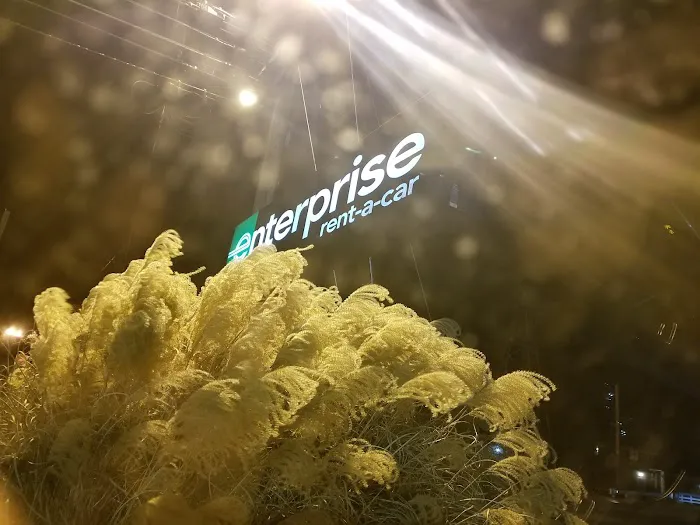 Enterprise Rent-A-Car Picture 4