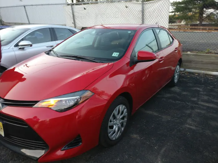 Avis Car Rental Picture 6