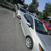 Avis Car Rental ico