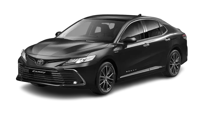 Carasaljo Car Rental Picture 10