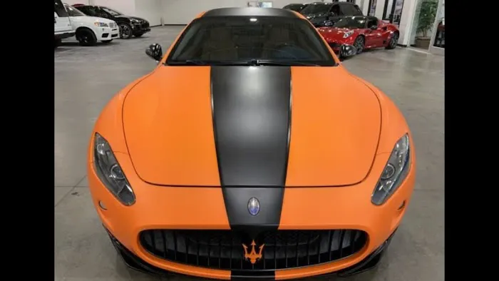 Magee Exotics Picture 3