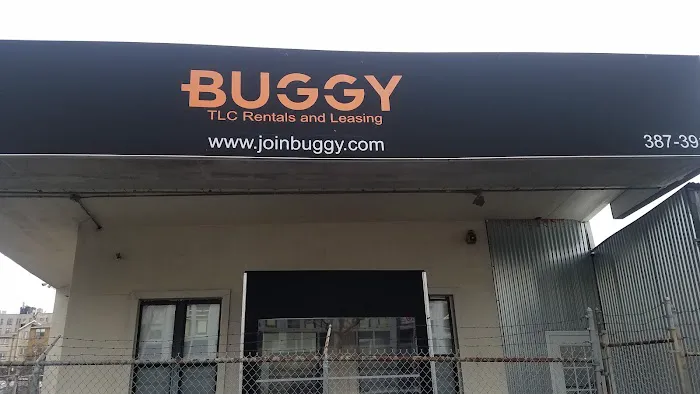 Buggy Picture 5