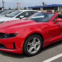 Avis Car Rental ico