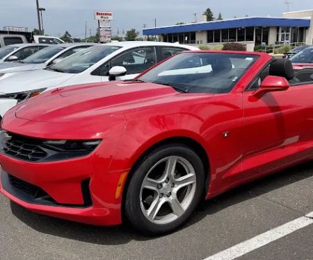 Avis Car Rental