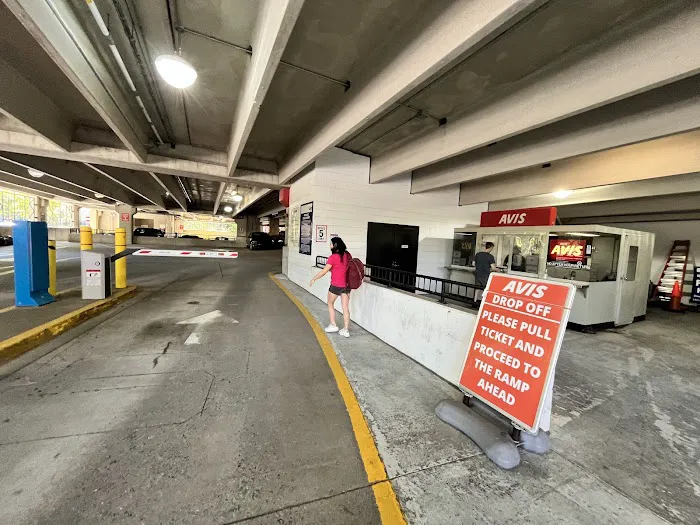 Avis Car Rental Picture 3