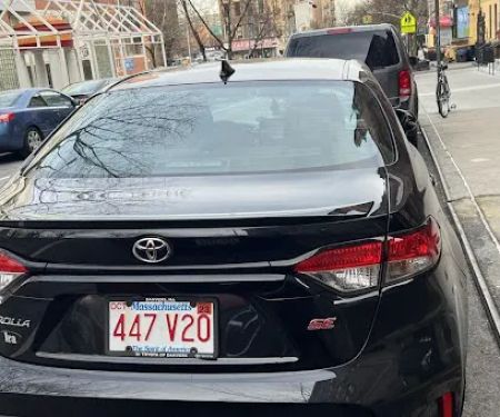Daily Car Rentals