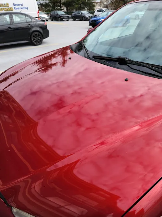 Avis Car Rental Picture 2