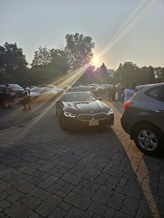 Exotic Car Collection by Enterprise Picture 5