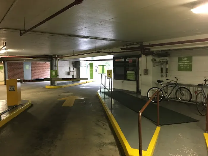 Avis Car Rental Picture 4