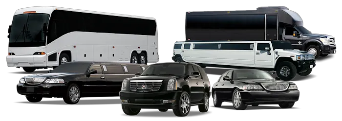 Cathay Express Transportation Picture 3