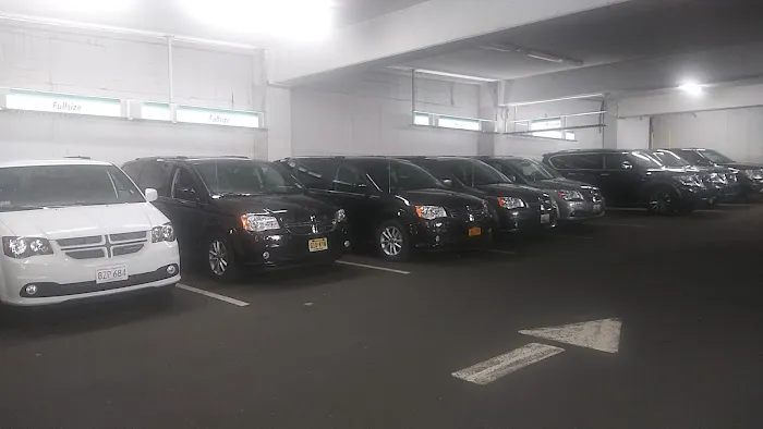 Alamo Rent A Car Picture 4