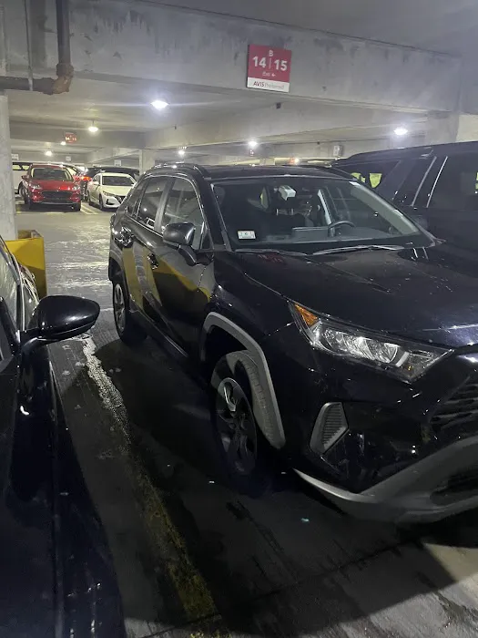 Avis Car Rental Picture 4