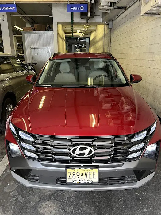 Drivo Rent A Car Picture 7
