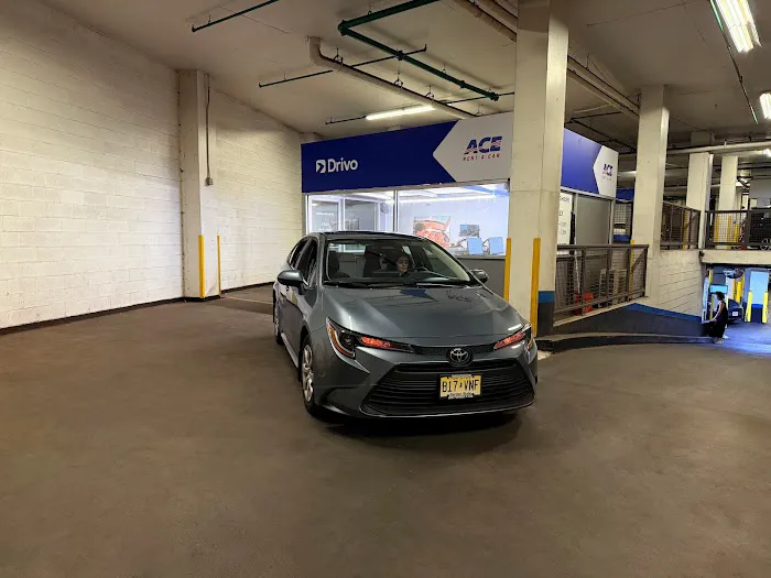 Drivo Rent A Car Picture 3