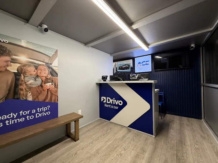 Drivo Rent A Car Picture 4