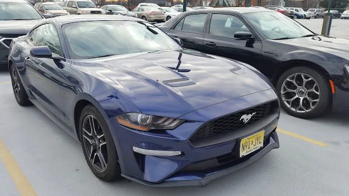 Budget Car Rental Picture 1