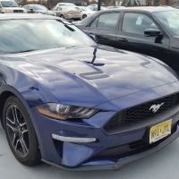 Budget Car Rental ico