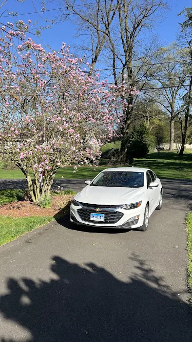 Avis Car Rental Picture 4
