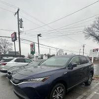Avis Car Rental ico