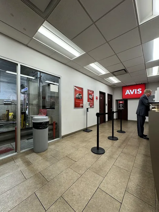 Avis Car Rental Picture 7