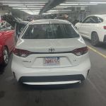 Alamo Rent A Car