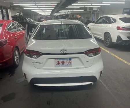 Alamo Rent A Car