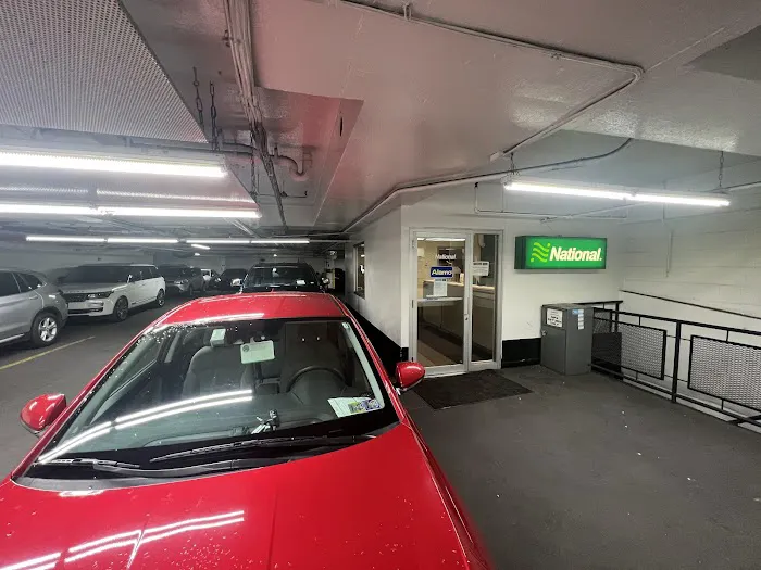 Alamo Rent A Car Picture 8