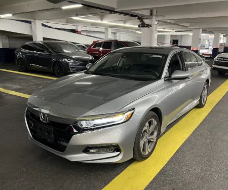 Avis Car Rental