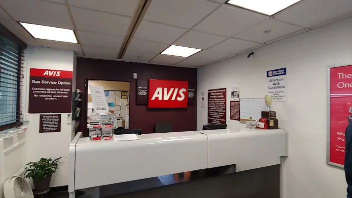 Avis Car Rental Picture 3