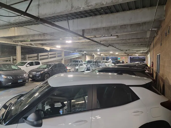 Drivo Rent A Car Picture 7