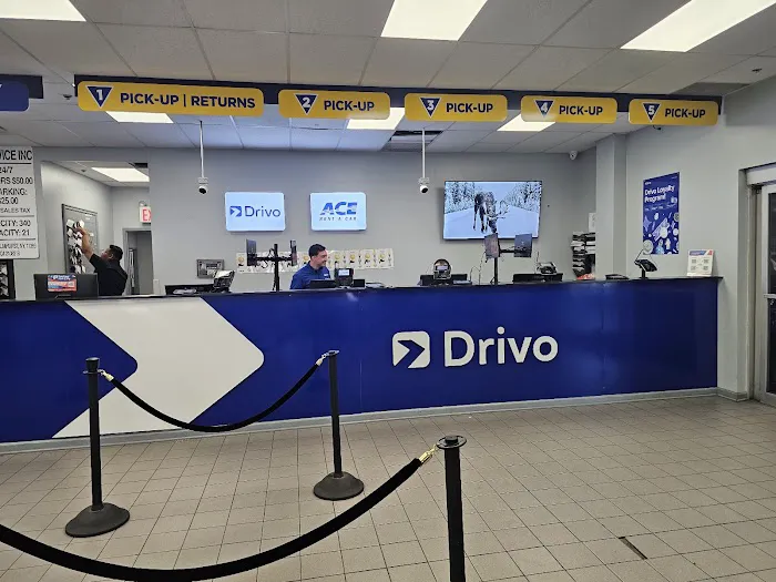 Drivo Rent A Car Picture 1