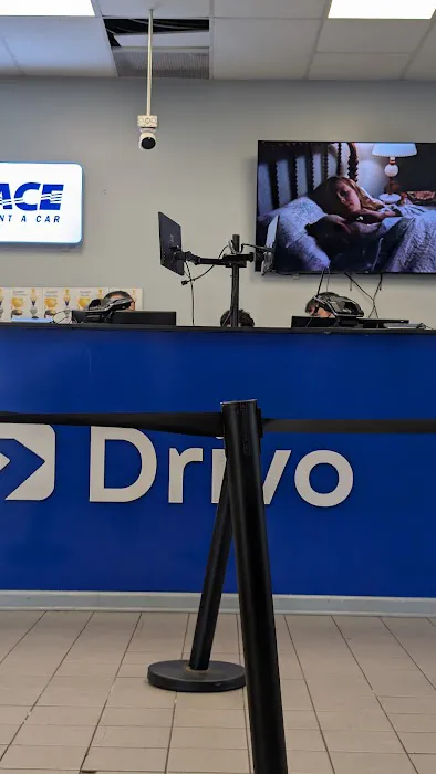 Drivo Rent A Car Picture 8