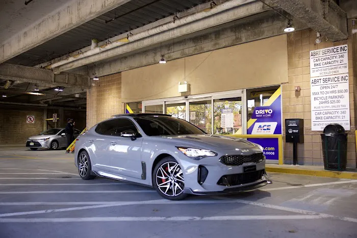 ACE Rent A Car Picture 5