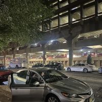 ACE Rent A Car ico