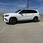 E M AUTO RENTAL LLC