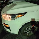 Payless Car Rental