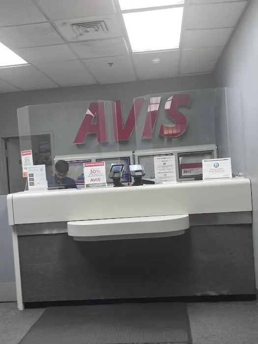 Avis Car Rental Picture 3