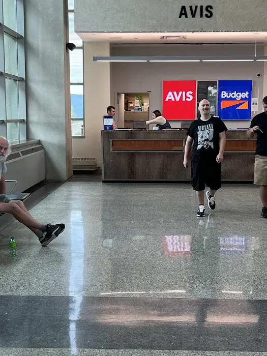 Avis Car Rental Picture 9