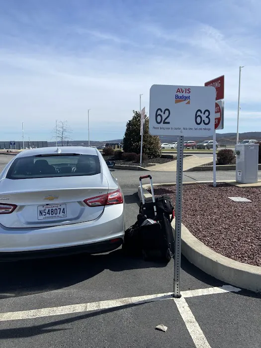 Avis Car Rental Picture 6