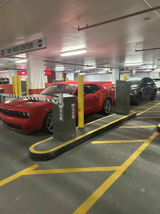 Avis Car Rental Picture 6