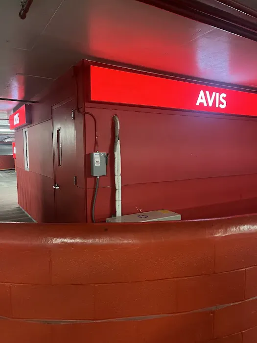 Avis Car Rental Picture 1