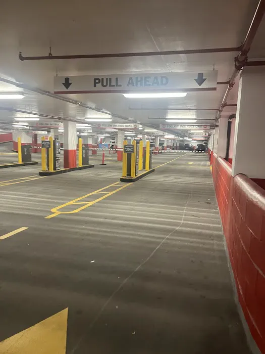 Avis Car Rental Picture 3