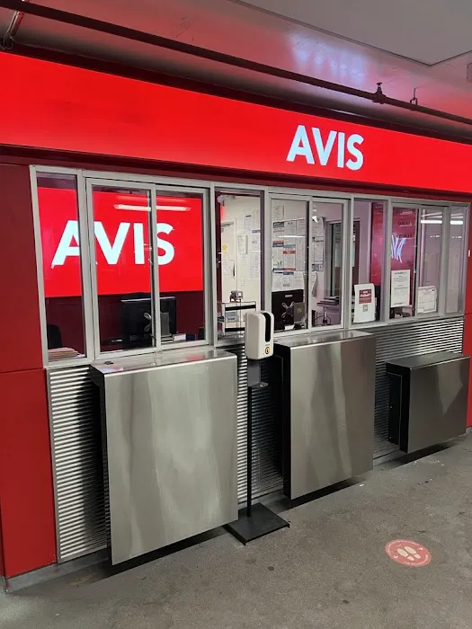 Avis Car Rental Picture 4