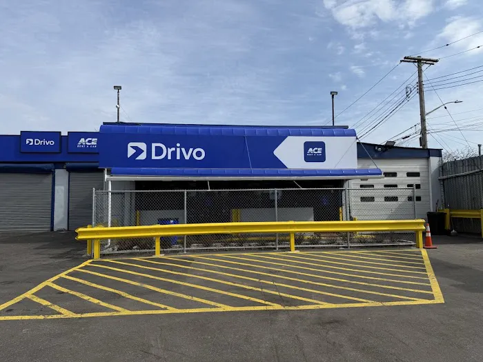 Drivo Rent A Car Picture 4