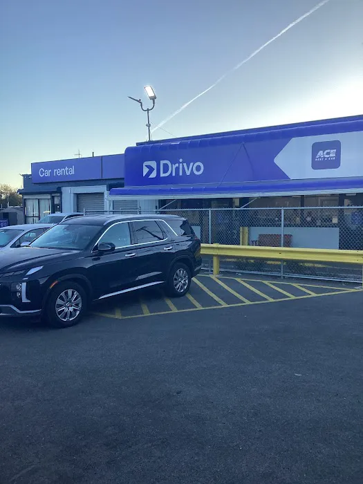 ACE Rent A Car Picture 2