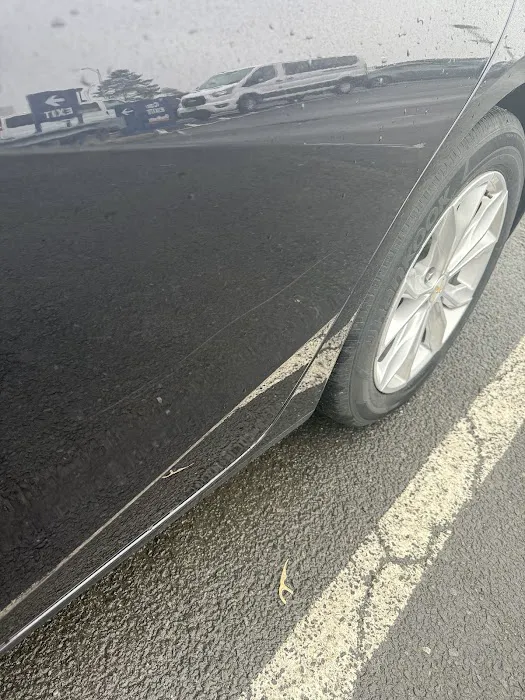 Budget Car Rental Picture 3