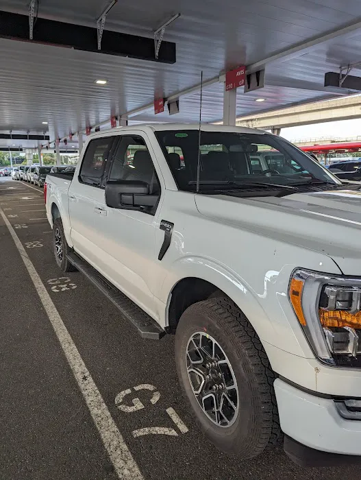 Payless Car Rental Picture 6